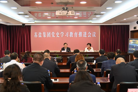 赏金国际集团召开党史学习教育推进会