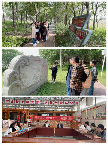 赏金国际集团各级团组织开展学党史主题团日活动