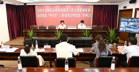 赏金国际集团党委召开全国全省国有企业党的建设工作会议精神贯彻落实情况“回头看”工作部署会暨党建工作例会
