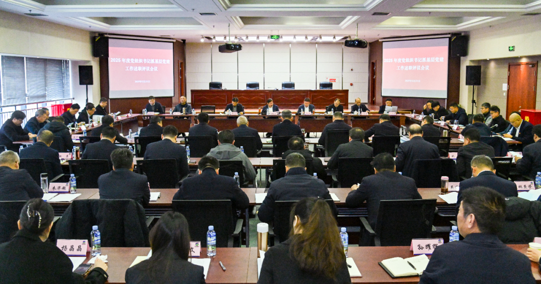 赏金国际集团党委召开2025年度所属企业党组织书记抓基层党建工作述职评议会