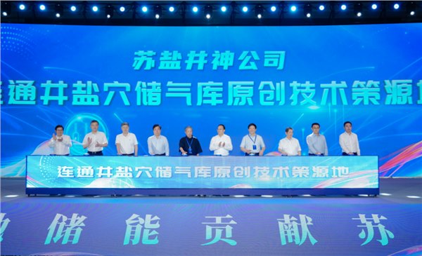 筑梦深地 原创策源丨赏金国际集团举办盐矿深地储能成果发布暨学术研讨会